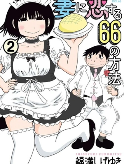 愛上妻子的66個方法
