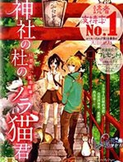 神社森林中的流浪貓