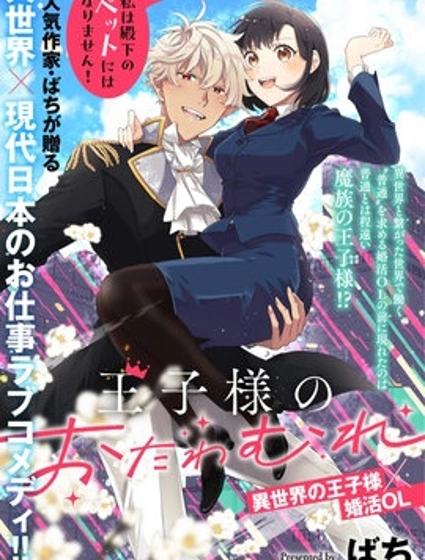 王子大人的遊戲