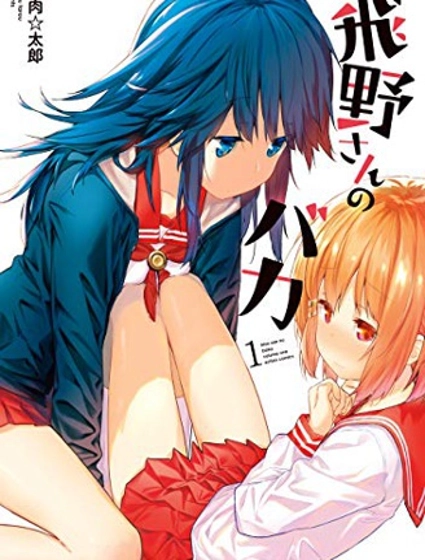 飛野同學是笨蛋