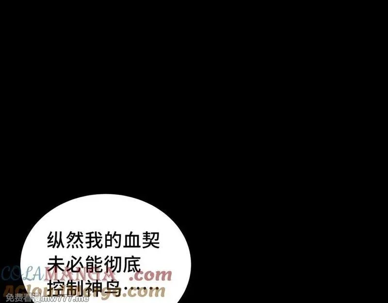 我契约了我自己,第63话 神鸟现,第117张