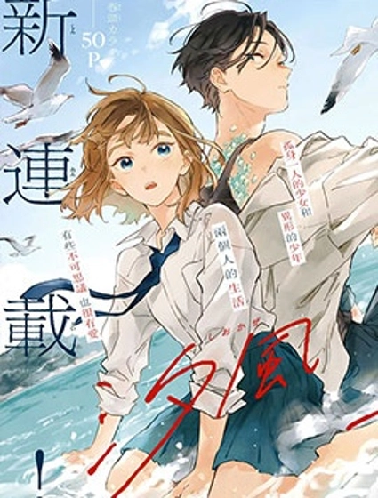 海風與龍的棲息地