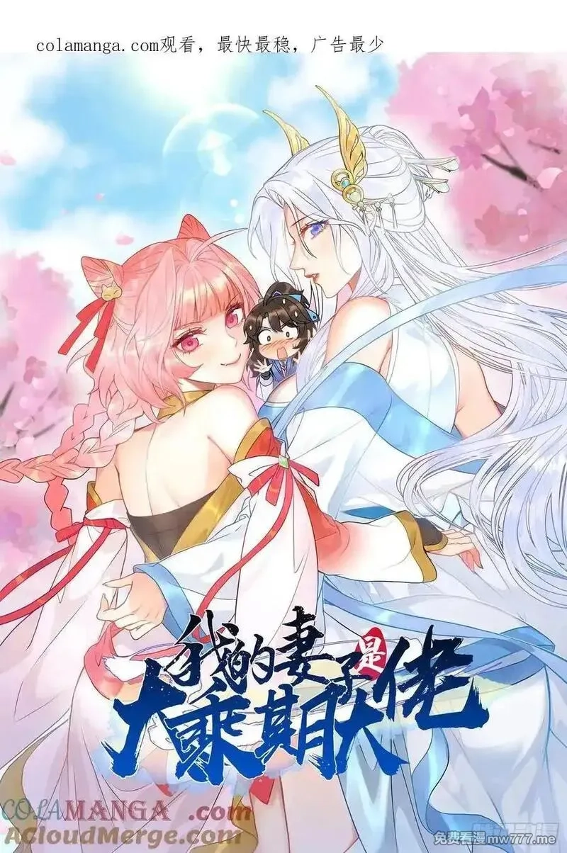 我的妻子是大乘期大佬,疑似修罗场！,第1张