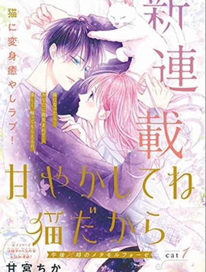 快来宠我嘛！我可是猫猫