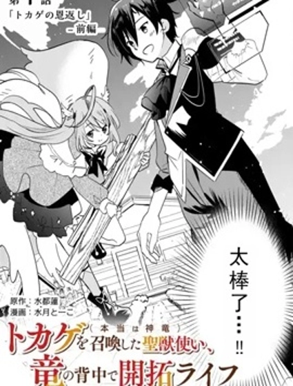 召唤蜥蜴(其实是神龙)的圣兽使，在龙背上的开拓生活