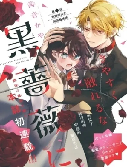 不可輕易觸碰那黑薔薇