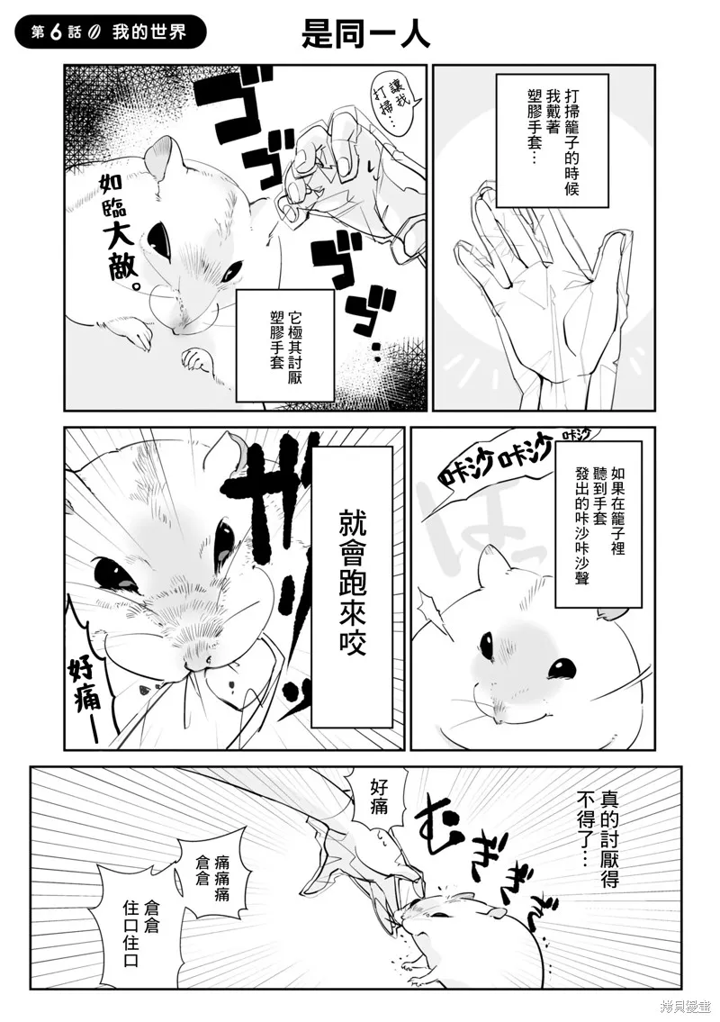 萌鼠倉倉,第06話,第1张