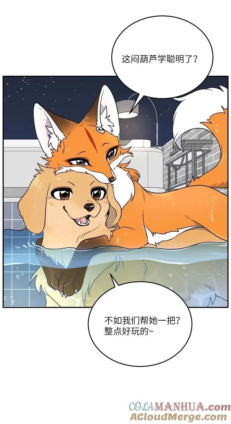 我的食物看起来很可爱,162 情话大全,第19张