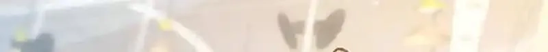 第一序列,第558话 557 面见少帅,第137张